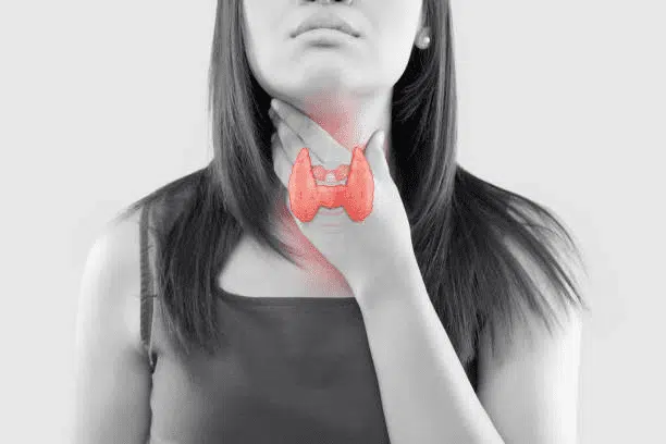 Thyroid Function and Its Role in Women’s Health Thyroid Function and Its Role in Women’s Health