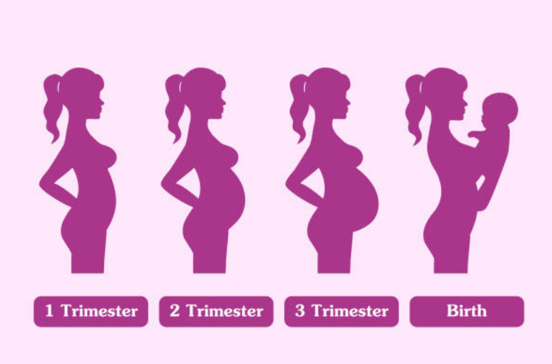 website blog image front (1) First Trimester Car