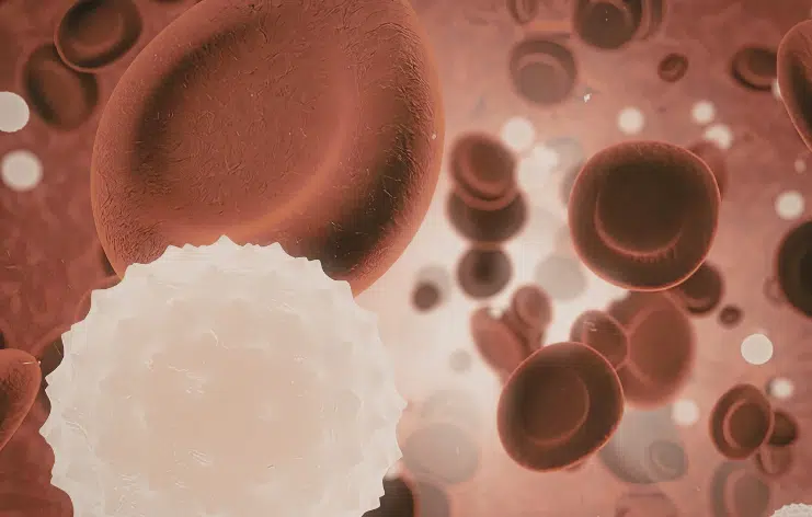 Blood Disorders First Trimester Car